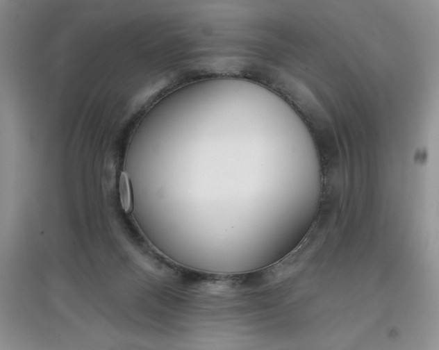 X0000097610120200803141948