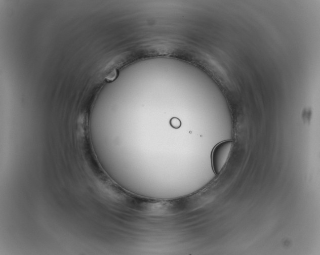 X0000097610122200803141948