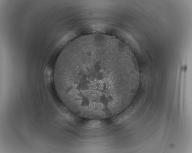 X0000097610123200803141948