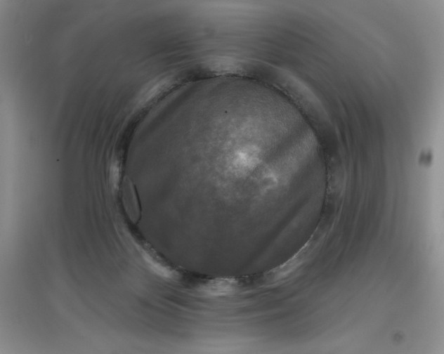 X0000097610124200803141948