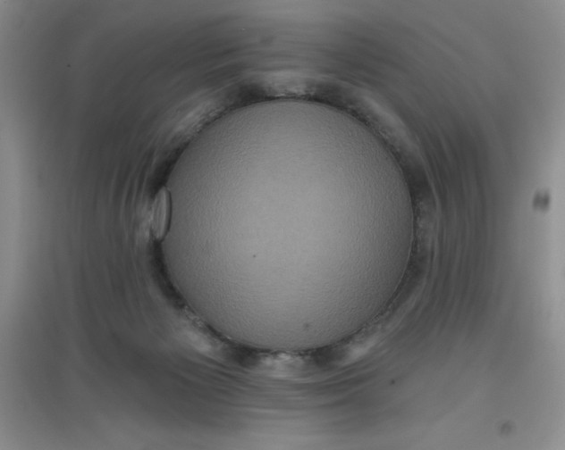 X0000097610125200803141948