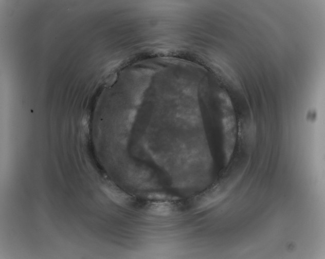 X0000097610127200803141948