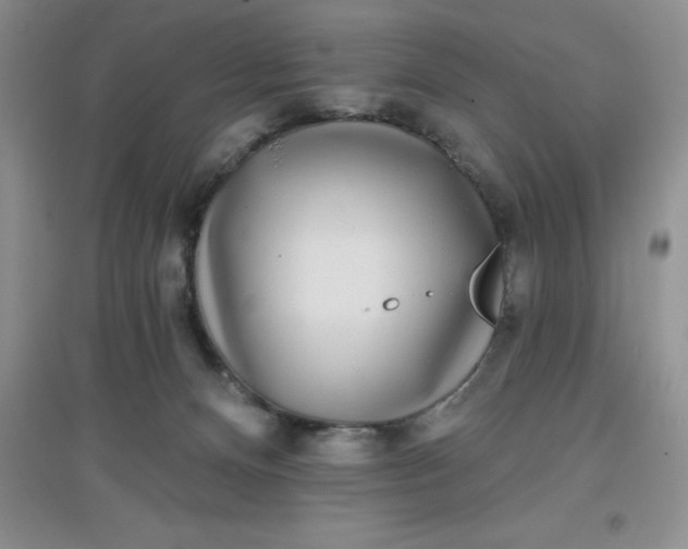 X0000097610128200803141948