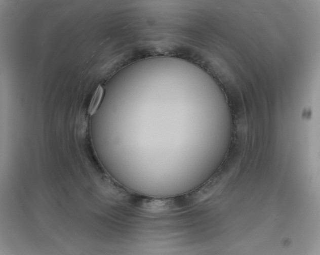 X0000097610129200803141948