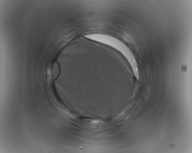 X0000097610130200803141948