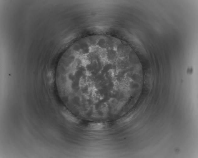 X0000097610131200803141948