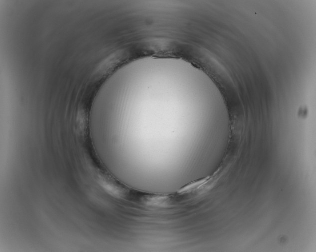 X0000097610132200803141948