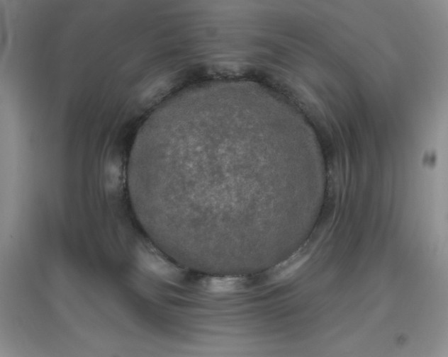 X0000097610134200803141948