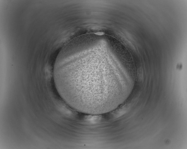 X0000097610135200803141948