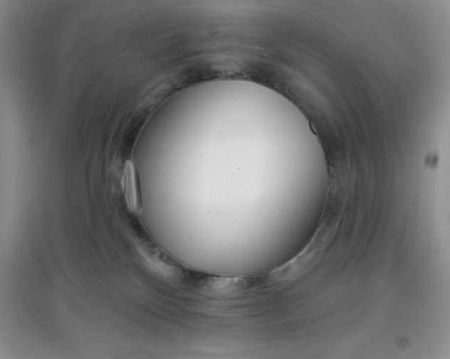 X0000097610136200803141948