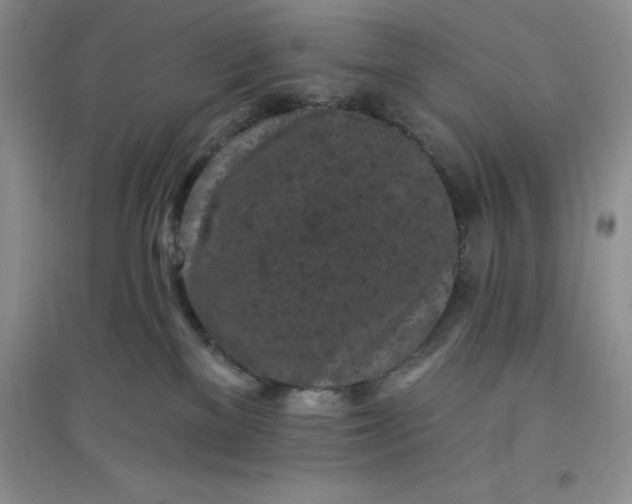 X0000097610137200803141948