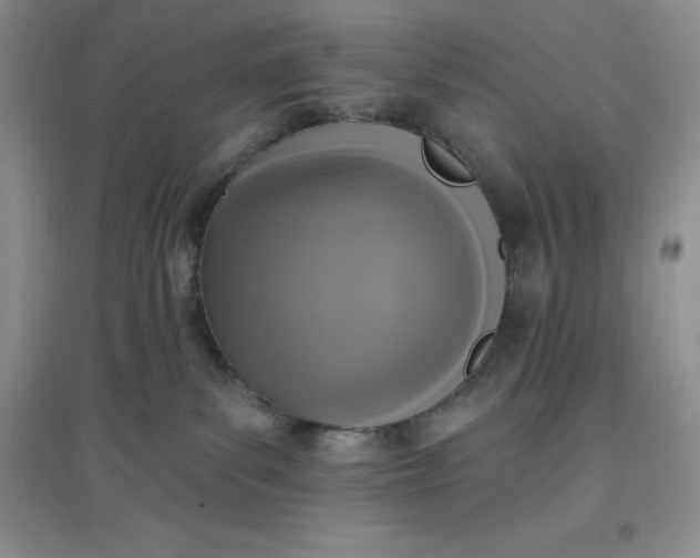 X0000097610139200803141948