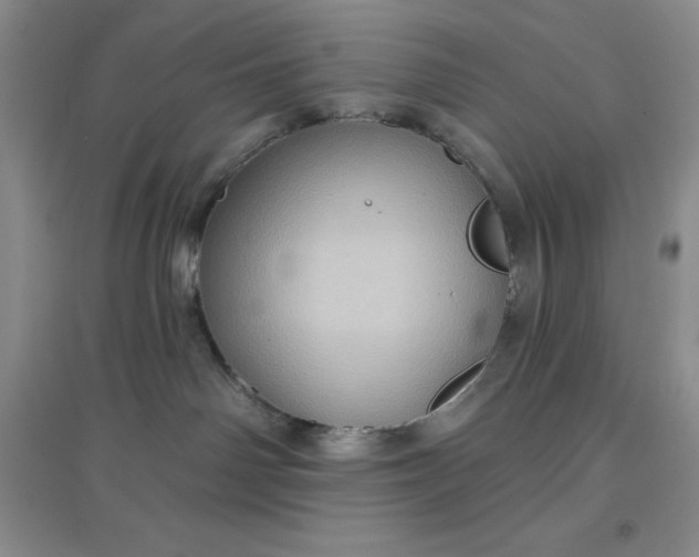 X0000097610142200803141948