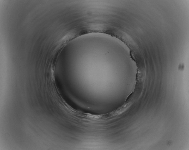 X0000097610143200803141948