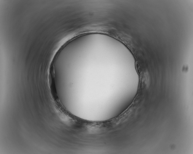 X0000097610148200803141947