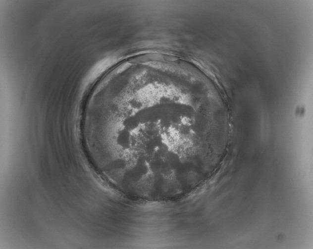 X0000097610149200803141947