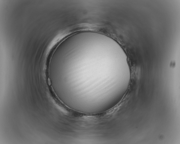 X0000097610150200803141947