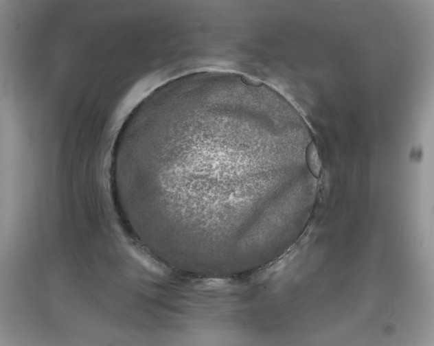 X0000097610151200803141947