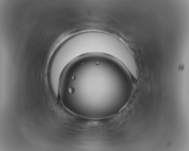 X0000097610152200803141947