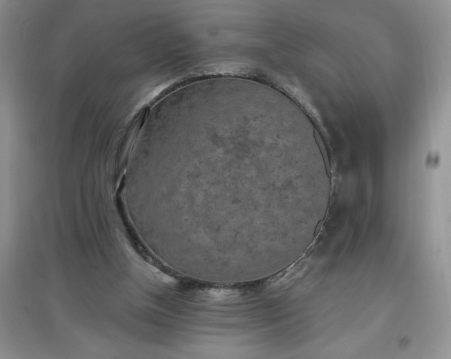 X0000097610154200803141947