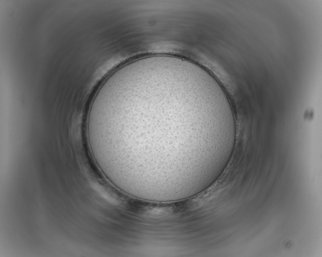 X0000097610155200803141947