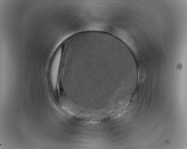 X0000097610156200803141947