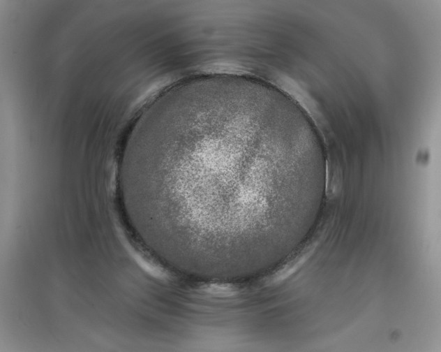 X0000097610157200803141947