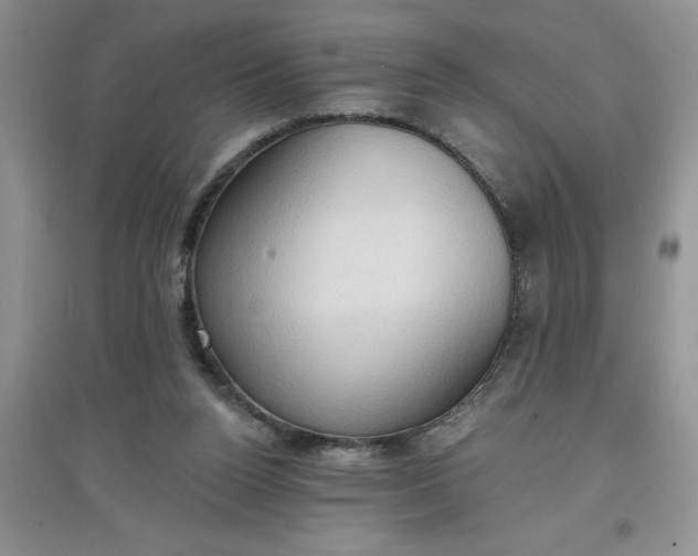 X0000097610160200803141947