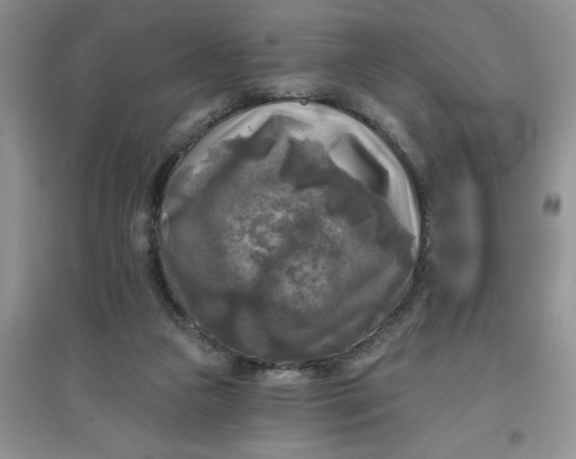 X0000097610161200803141947