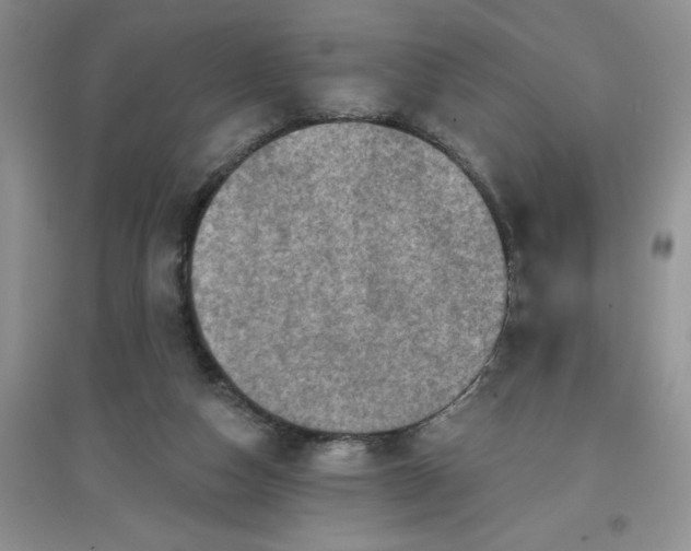 X0000097610162200803141947