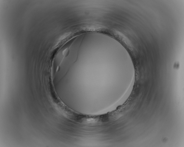 X0000097610163200803141947