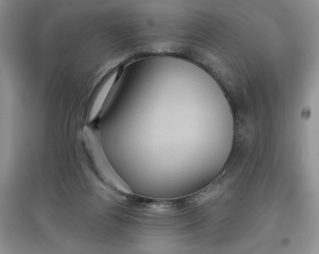 X0000097610164200803141947