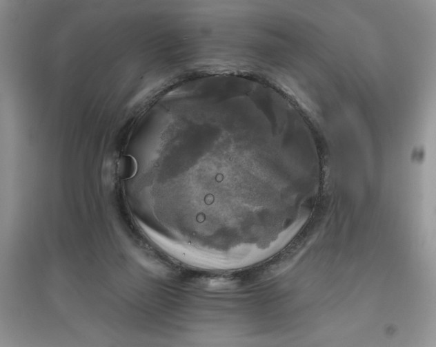 X0000097610165200803141947