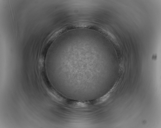 X0000097610166200803141947