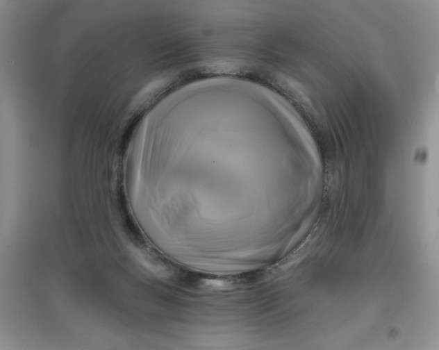 X0000097610167200803141947