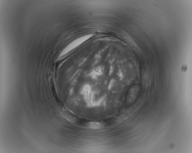 X0000097610169200803141947