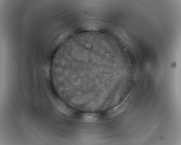 X0000097610175200803141948