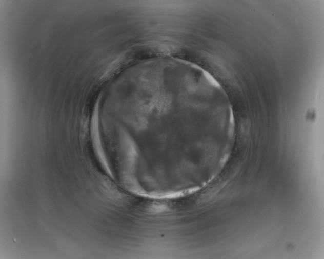 X0000097610177200803141948