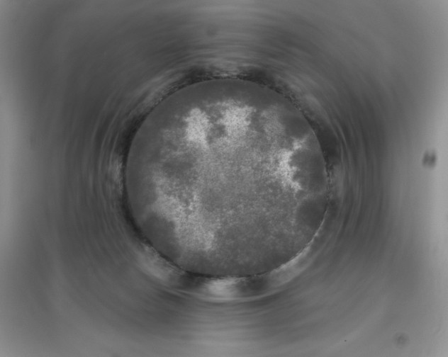 X0000097610178200803141948