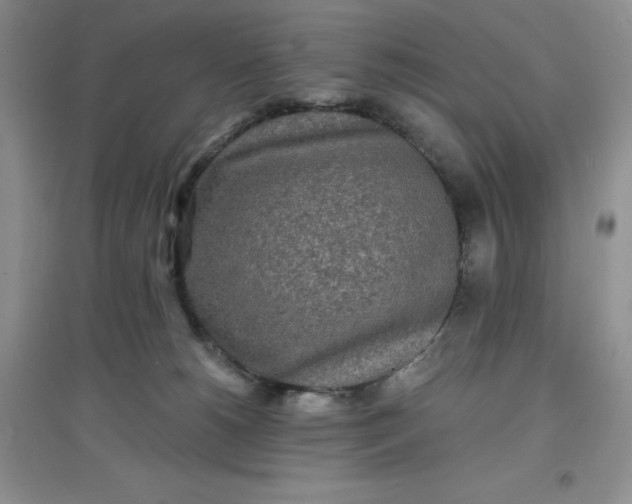 X0000097610180200803141948