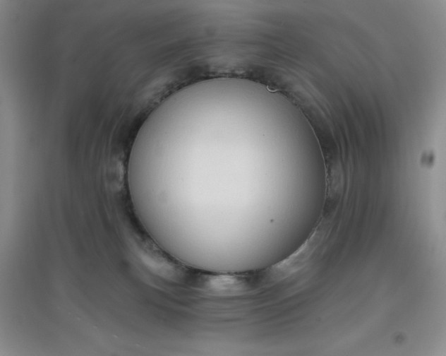 X0000097610183200803141948