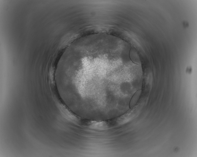 X0000097610185200803141948