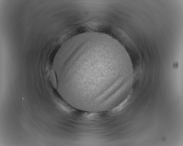 X0000097610186200803141948