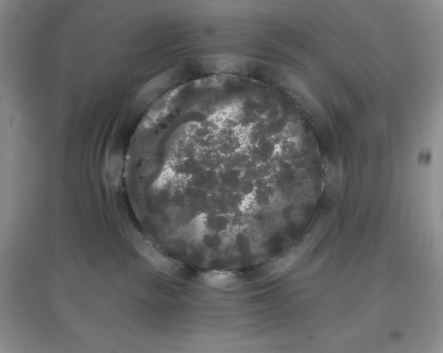 X0000097610189200803141948