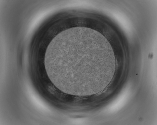 X0000097610190200803141948