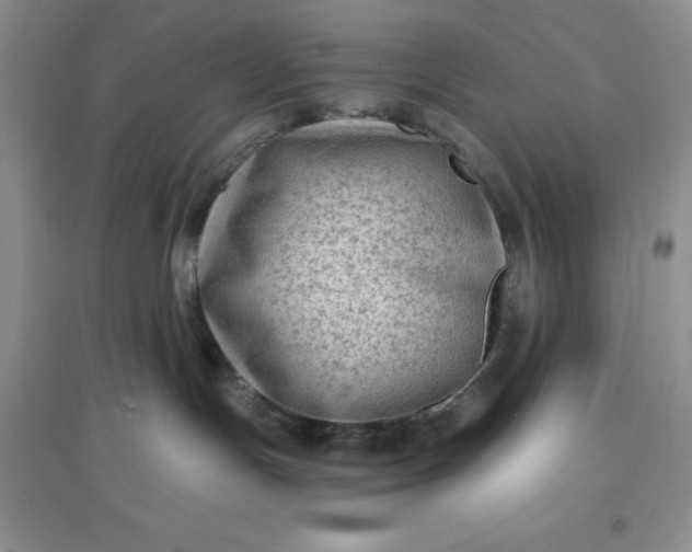 X0000097610191200803141948