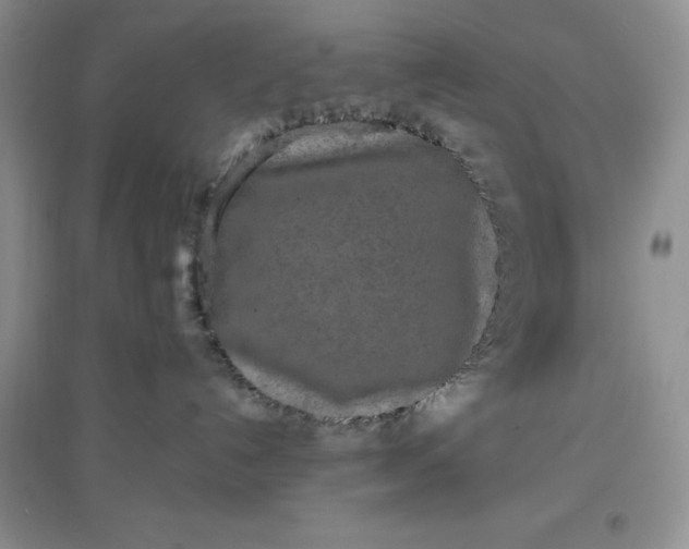 X0000097610192200803141948