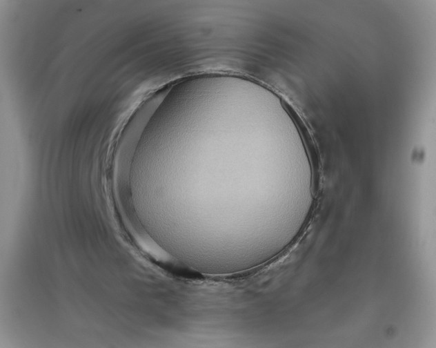 X0000097610193200803141947