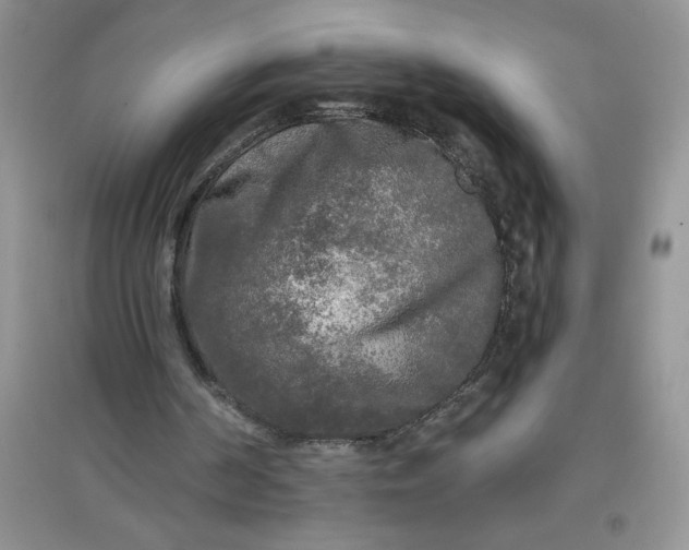 X0000097610194200803141947