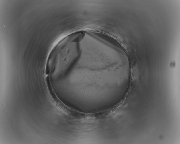 X0000097610196200803141947